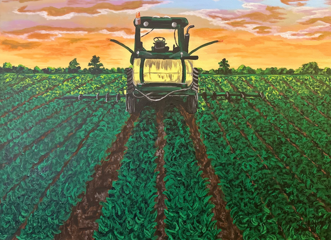 “Sunset Spraying”